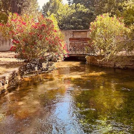 Appartement Fontaine De Vaucluse Ngoại thất bức ảnh