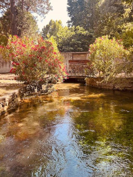 Appartement Fontaine De Vaucluse Ngoại thất bức ảnh